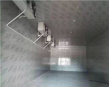 如何建立冷庫，建立冷庫有什么要求